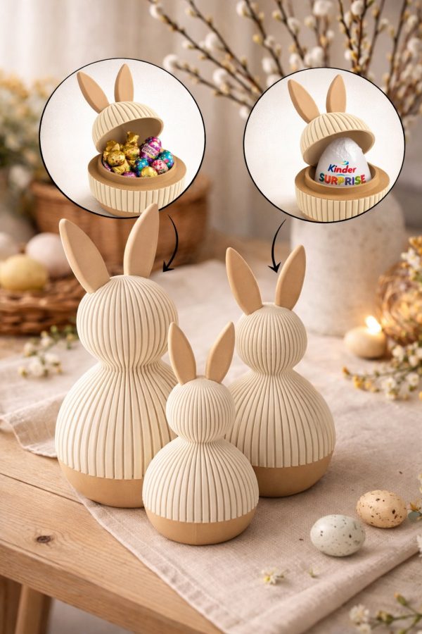 Lapins Surprise FAMILLE