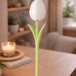 Tulipe Harmonie – Image 8