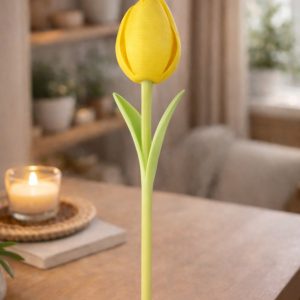 Tulipe Harmonie – Image 6