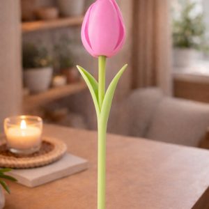 Tulipe Harmonie – Image 5