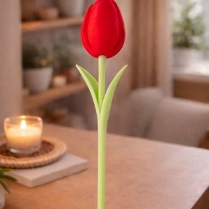 Tulipe Harmonie – Image 7