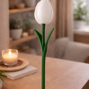 Tulipe Harmonie – Image 2