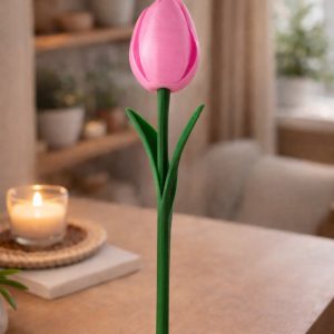 Tulipe Harmonie – Image 4