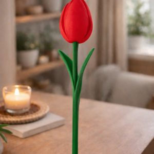 Tulipe Harmonie – Image 3